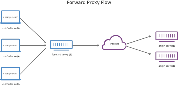 forward proxy flow 1